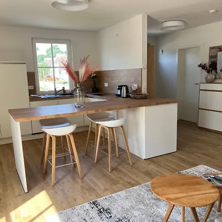 Austernfischer Zirchow