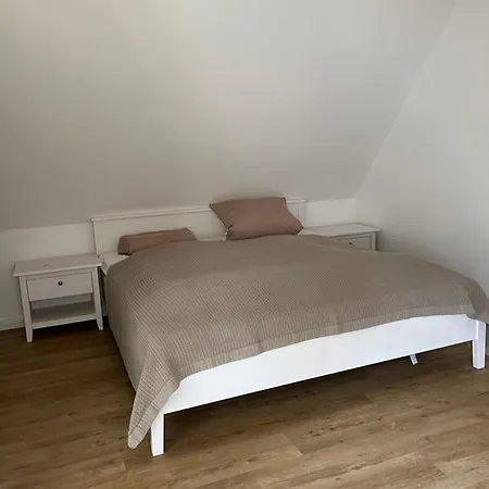 Austernfischer Zirchow