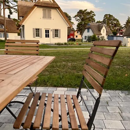 Austernfischer Zirchow