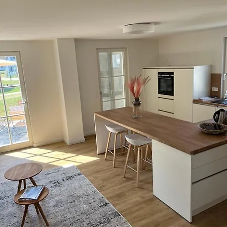 Austernfischer * Zirchow