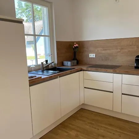 Austernfischer * Zirchow